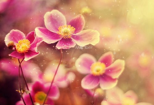 �����ھ;���ʧ��������δ����ôԶ�����ô�� (3)