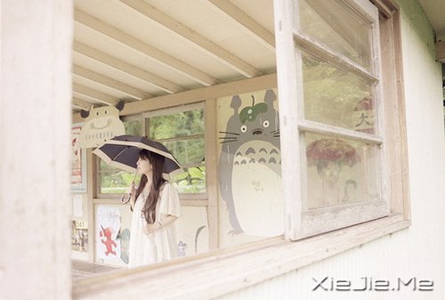 心似莲开,清风自来 (7)