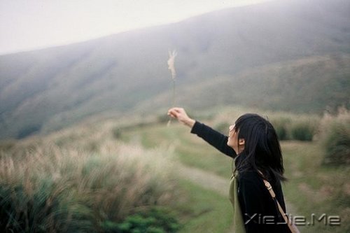 轻拥欢笑,温柔静坐 (3)