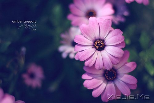 不要轰轰烈烈,只求安安心心 (6)