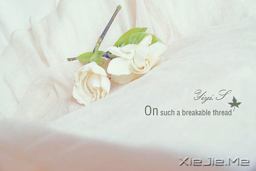 找一个理由,去否认忧伤 (7)