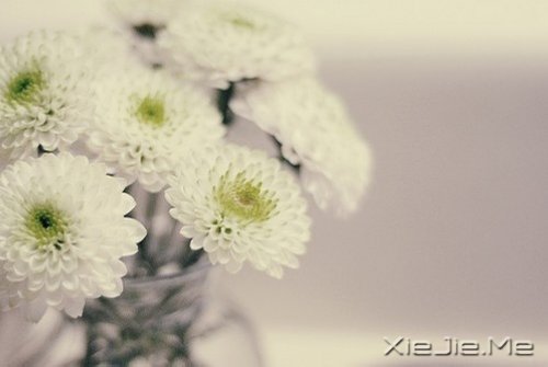 把日子过成诗,简单而精致 (4)