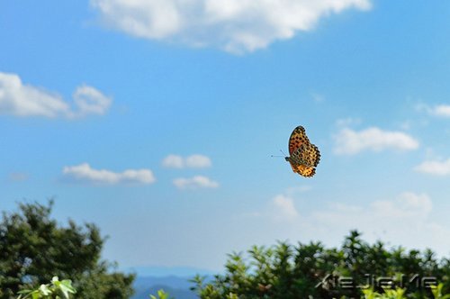 �ú������һ���ӽ��Ҹ����� (6)