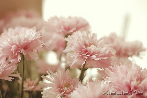 ������;���������� (4)