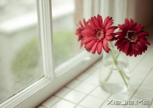 �е����㿴��һ�ۣ�ȴ������һ�� (9)