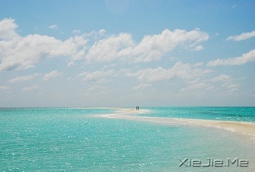 不争,也有属于你的世界 (8)