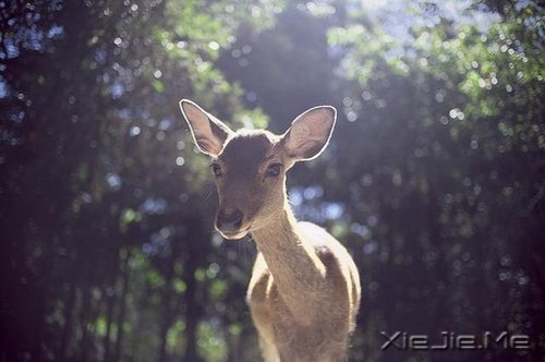 ��Щ�£�ЦЦ���ܹ�ȥ (6)