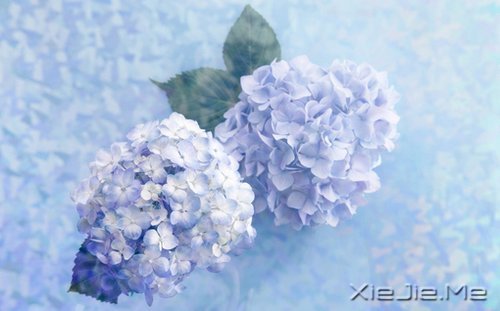 生一分钟气,就失去了60秒的快乐 (2)