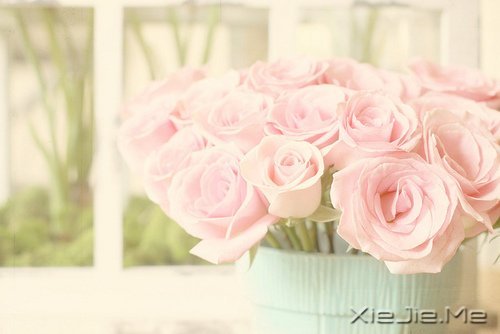 ��һ�������Լ��ĵط����������ж����������� (2)