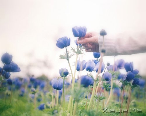 �Ҳ��������������������Լ� (1)