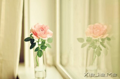 ����������ʹ�࣬˵��������л����� (8)