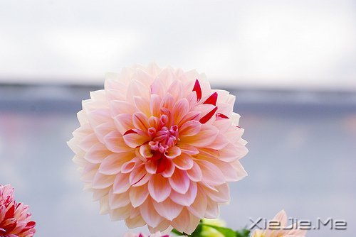 �Ҹ������Ǵ����ﶬ����Ȼ���� (8)