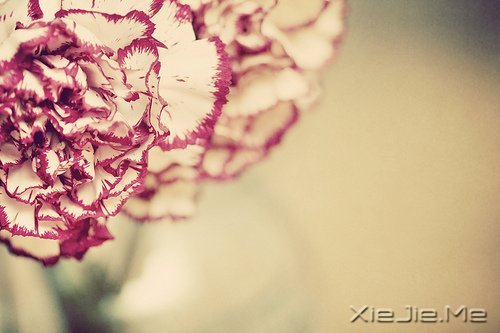 ���µģ��������� (3)