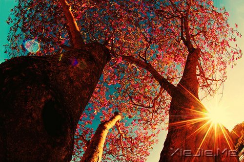 �������ֻ���벻ͨ���ˣ�û���߲�ͨ��· (6)