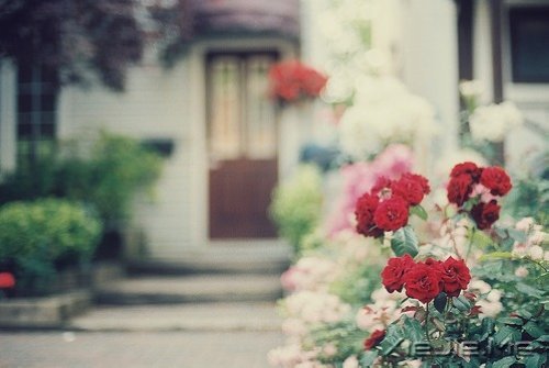 ���������΢Ц�����һ��С�� (5)