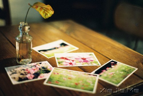 �������Զ�����Ƿ羰�������Ĳ������� (11)