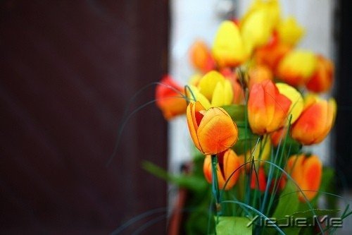 早安心语:做自己生命的主角,而不是别人生命中的看客 (4)