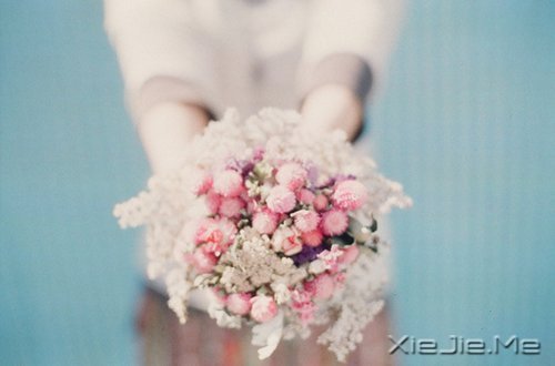 �簲������ƺ����飬����Żᴦ����� (3)