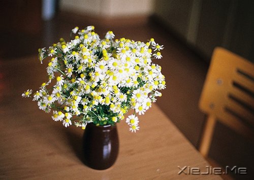 �������ÿһ���ഺ������ϣ�����ϣ�����������һֱ���� (5)