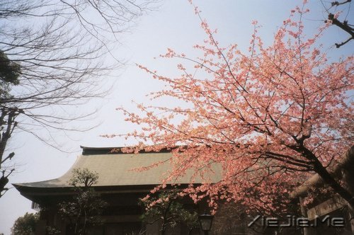 �簲��������������Ҹ��Ǽ������˰������� (7)