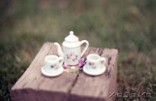 早安心语:学着看淡一些事情,才是对自己最好的保护 (1)