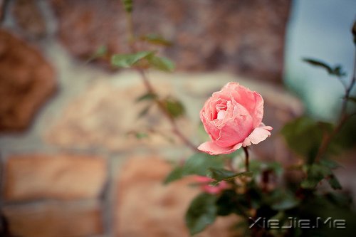 �������������ת���������¿�ʼ (4)