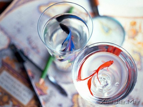 早安心语:淡然一切,往事如烟 (5)