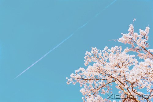 童心未泯,是一件值得骄傲的事情 (10)