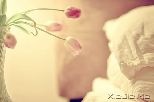 早安心语:人生,就是你一个人的人生 (7)