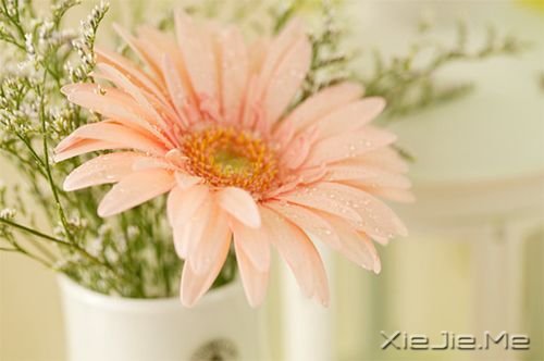 早安心语:人生,就是你一个人的人生 (8)