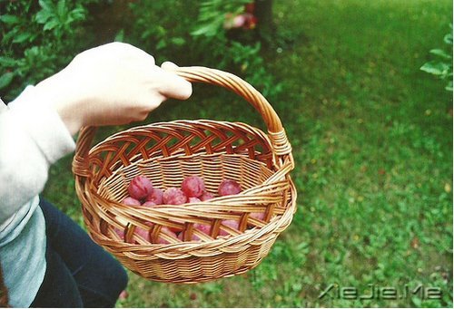 今天你所受的伤,只会让你明天更坚强 (2)