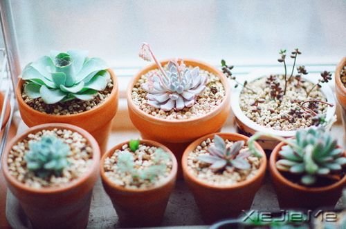 ����������㶮�ã�������ϧ (8)