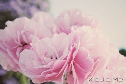 �������ֻҪ�������ڣ��ݳ���û����Ļ