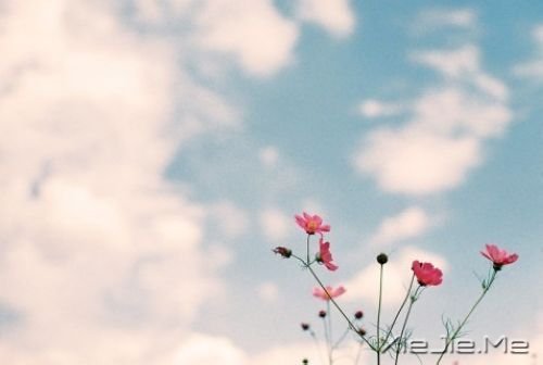 �����������ʱû�м���������Ǿ�����ͷ (3)