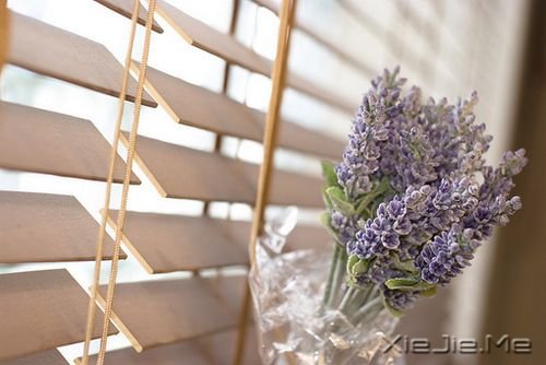 �簲������δ֪�����ú�������־� (5)