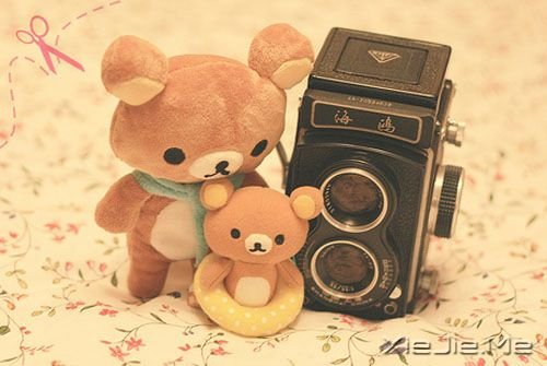 早安心语:这世上只有一个你 (6)