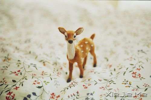 ���������Щ�²�˵����������֪�� (10)