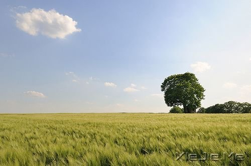 �簲������ķ��򣬸��ʺϷ��� (7)