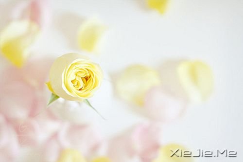 �簲����ɹ����ٶ�һ��Ҫ������ĸ��ȥ���ٶ� (3)