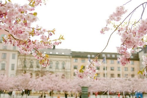 �簲���������ҵ��ģ�������ס������ (7)