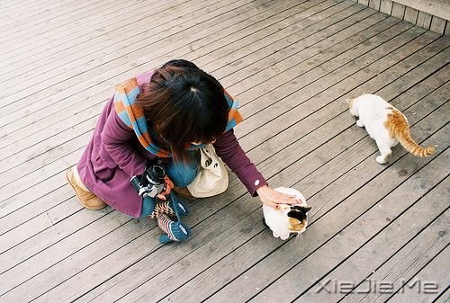 ��������ҵ�Ը���ǣ�һ��˯��Сʱ�� (3)