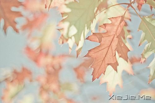 早安心语:跟随自己的内心与直觉 (6)