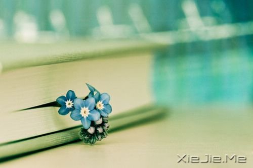 �簲�������Ůһ�����£���ү�Ƕ�һ��˼�� (8)