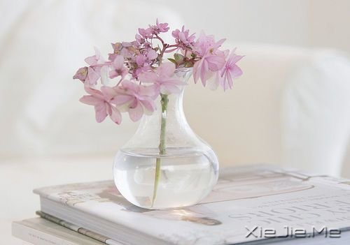 �����������һ����Ϊ����� (7)