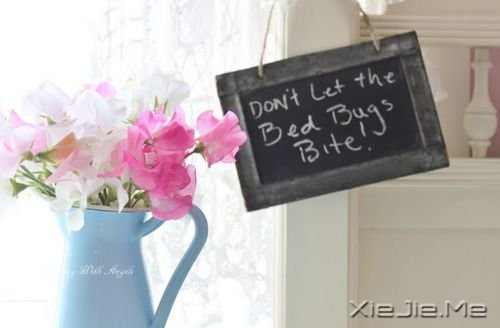 早安心语:永远面朝阳光,阴影就会被甩到后面 (10)