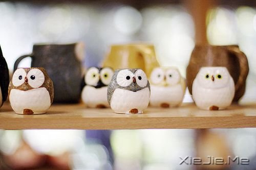 �����������Ҫ�ڰ����У����Ų�æ�ؼ�ǿ (8)