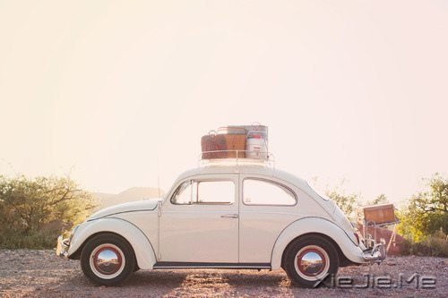 ����������������������� (3)