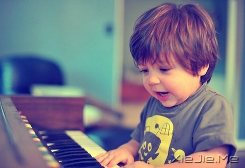 ���֣�����������Ҫ���߼��� (1)