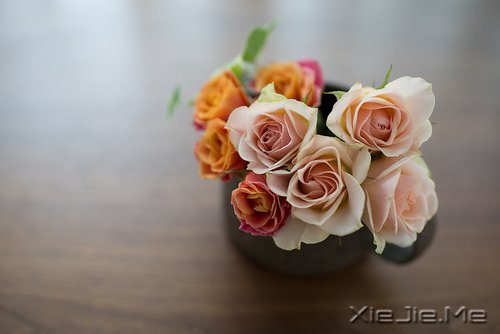 20�굽30��Ӧ��ѧ���5���� (4)