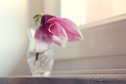 20�굽30��Ӧ��ѧ���5���� (5)